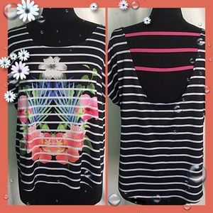 SO Authentic American Heritage Black Back Interest